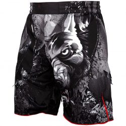 MMA Shorts